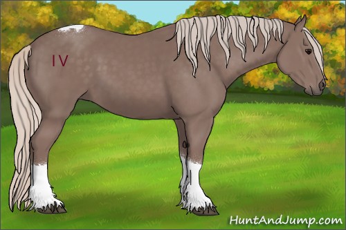Horse Color:Chocolate Silver Black Tobiano