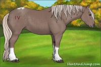 Horse Color:Chocolate Silver Black Tobiano 
