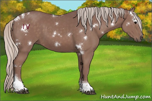 Horse Color:White Spotted Chocolate Silver Black Tobiano
