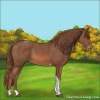 Horse Color:Chestnut Tobiano Varnish Rabicano 