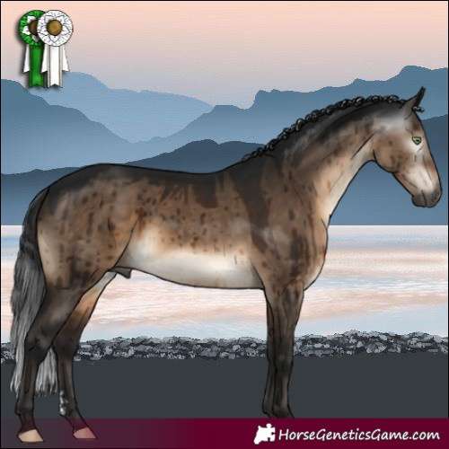 Horse Color:Gray Brown Dun Mushroom Sabino Brindle