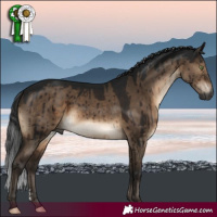 Horse Color:Gray Brown Dun Mushroom Sabino Brindle 
