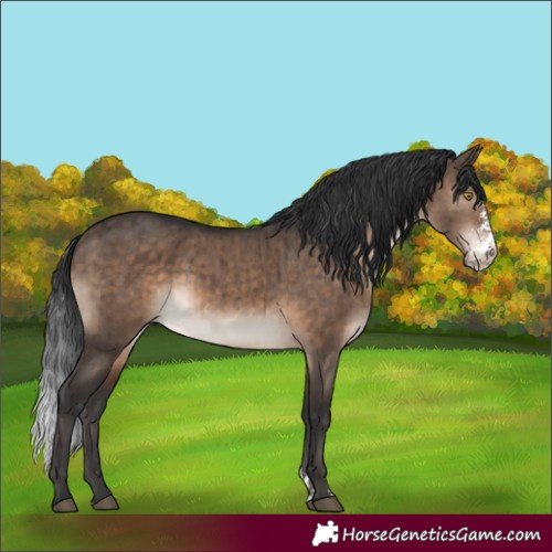 Horse Color:Brown Dun Sabino Brindle 