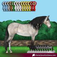Horse Color:Gray Brown Roan Dun Sabino Brindle 