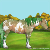 Horse Color:Watercolor White Spotted Bay 