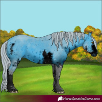 Horse Color:ERROR: UNKNOWN ANOMALY