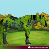 Horse Color:ERROR: UNKNOWN ANOMALY