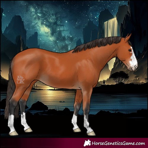 Horse Color:Bay 