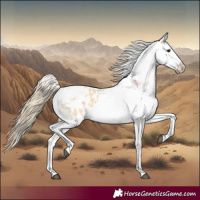 Horse Color:Buckskin Splash Tobiano Varnish 