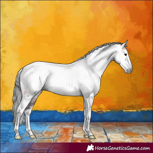 Horse Color:Gray Brown Roan Tobiano Frame 