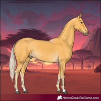 Horse Color:Palomino 
