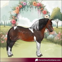 Horse Color:Brown Tobiano 