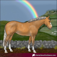 Horse Color:Silver Buckskin 