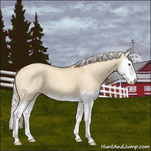Horse Color:Silver Classic Champagne Dun Splash 