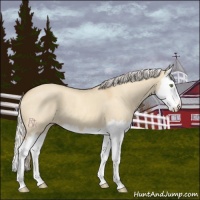 Horse Color:Silver Classic Champagne Dun Splash 