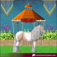 Horse Color:Silver Brown Pearl Dun Tobiano 