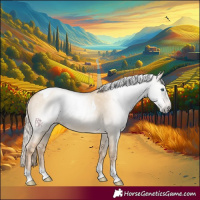 Horse Color:Gray Palomino Pearl Dun Tobiano 