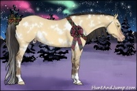Horse Color:White Spotted Amber Champagne Dun
