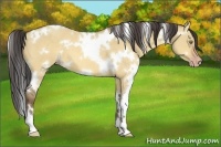 Horse Color:White Spotted Amber Champagne Dun