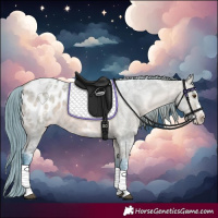 Horse Color:Watercolor Bay Ice Dun Appaloosa 