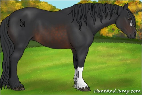 Horse Color:Brown 