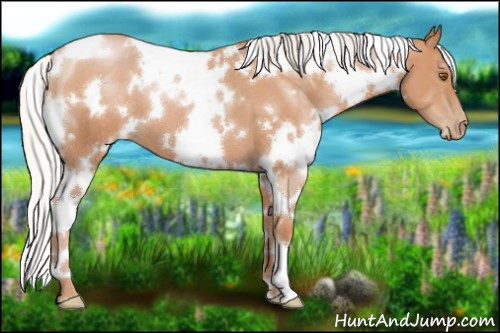 Horse Color:White Spotted Silver Black Pearl 