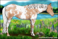 Horse Color:White Spotted Silver Black Pearl 