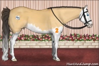 Horse Color:Buckskin Dun Splash 