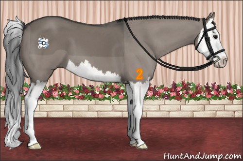 Horse Color:Grullo Splash 