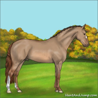 Horse Color:Red Dun 