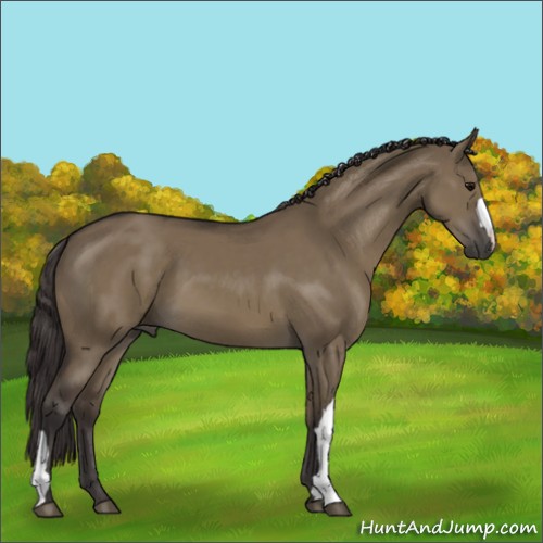 Horse Color:Smoky Grullo 