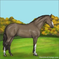 Horse Color:Smoky Grullo 