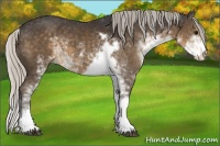 Horse Color:Silver Smoky Black Sabino 