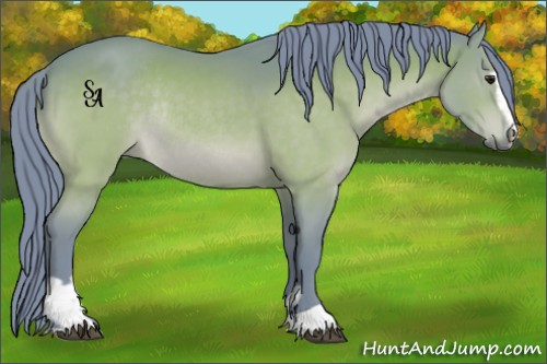 Horse Color:Watercolor Brown Sabino Rabicano