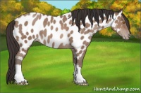 Horse Color:Sable Champagne Tobiano Near Leopard 