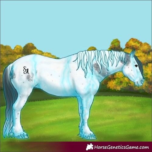 Horse Color:Thunderstruck Black Sabino Splash Tobiano