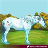 Horse Color:Thunderstruck Black Sabino Splash Tobiano 