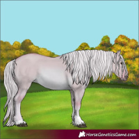 Horse Color:Watercolor Palomino Dun Tobiano 
