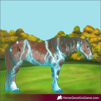 Horse Color:Thunderstruck Chestnut Splash Tobiano 