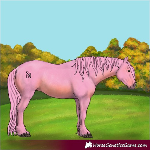 Horse Color:Watercolor Black Rabicano 