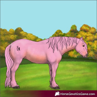 Horse Color:Watercolor Black Rabicano 