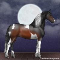 Horse Color:Brown Tobiano 