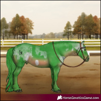 Horse Color:Watercolor Buckskin  and Watercolor Black Rabicano 