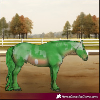 Horse Color:Watercolor Buckskin  and Watercolor Black Rabicano 