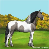 Horse Color:Grullo Tobiano Rabicano