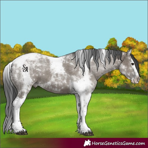 Horse Color:Grullo Splash Tobiano 