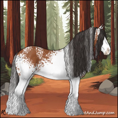 Horse Color:White Spotted Bay Splash 