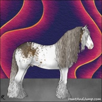 Horse Color:White Spotted Chocolate Palomino Splash