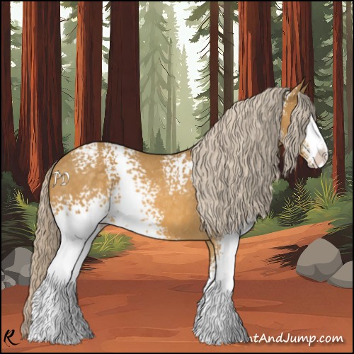 Horse Color:White Spotted Palomino Sabino Rabicano 