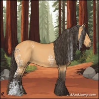 Horse Color:White Spotted Buckskin